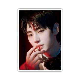 Sticker Photo of Sunghoon - Enhypen Day One Concept Dusk