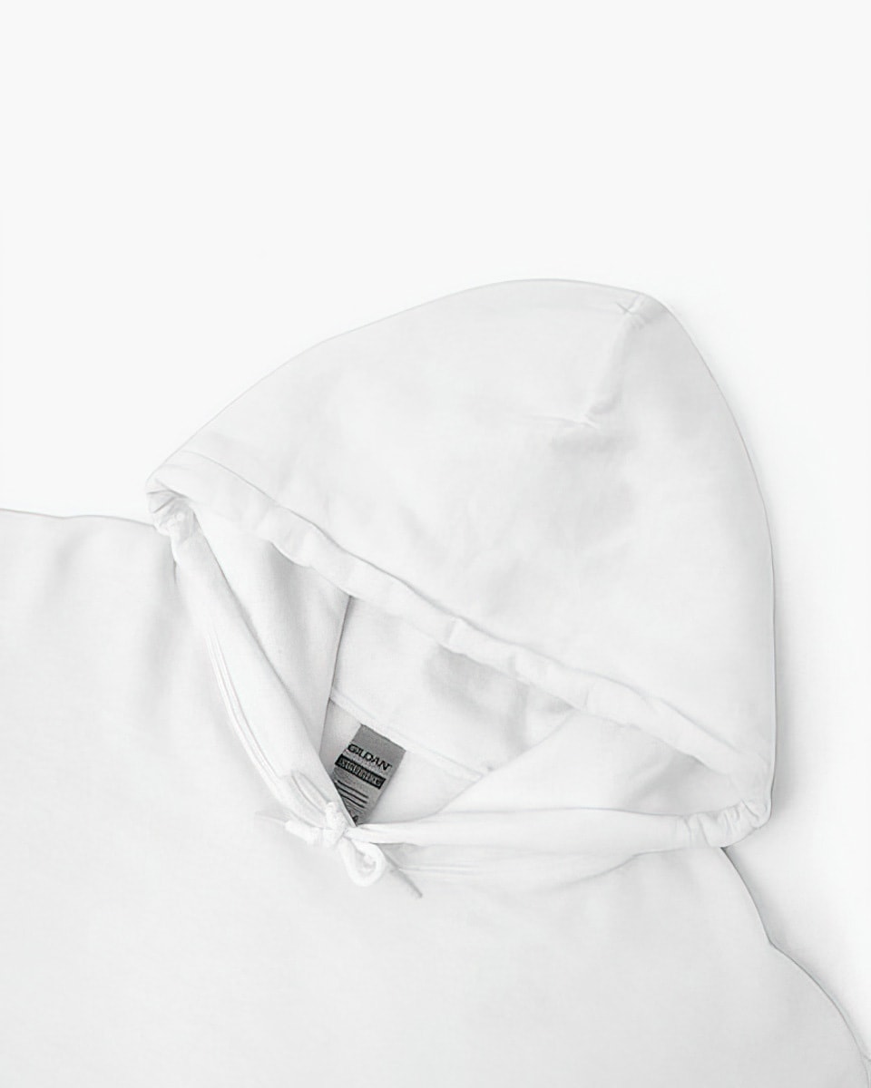 Unisex Hoodie Merch Personalized Print Gift Gildan 18500 4