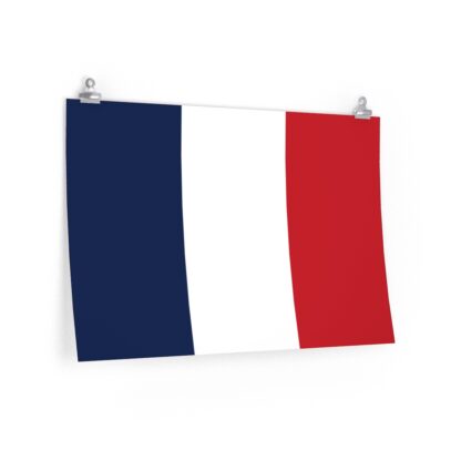 France's Flag Poster Print