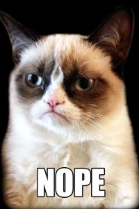 Grumpy cat nope meme