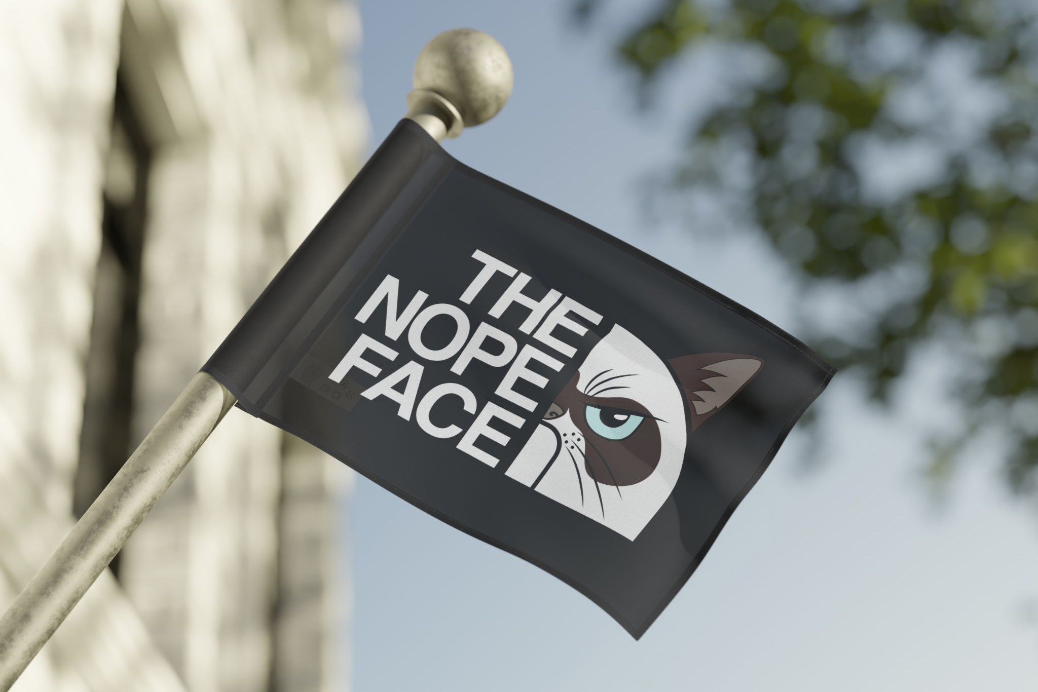 The Nope Face